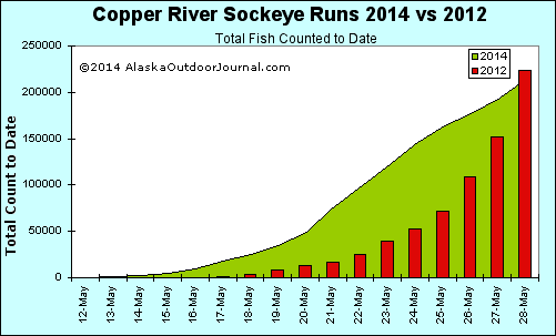 Copper River Salmon Run Chart